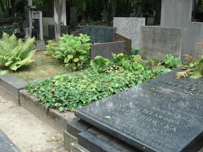 Zdjęcie grobu: Jan Koch