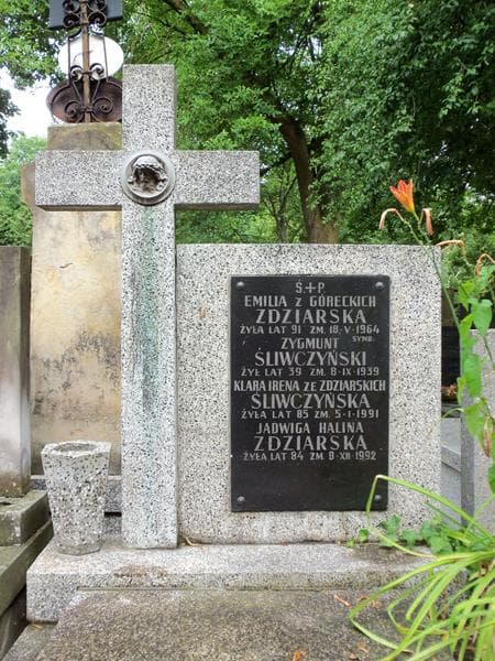 Zdjęcie grobu Emilia Zdziarska (2)