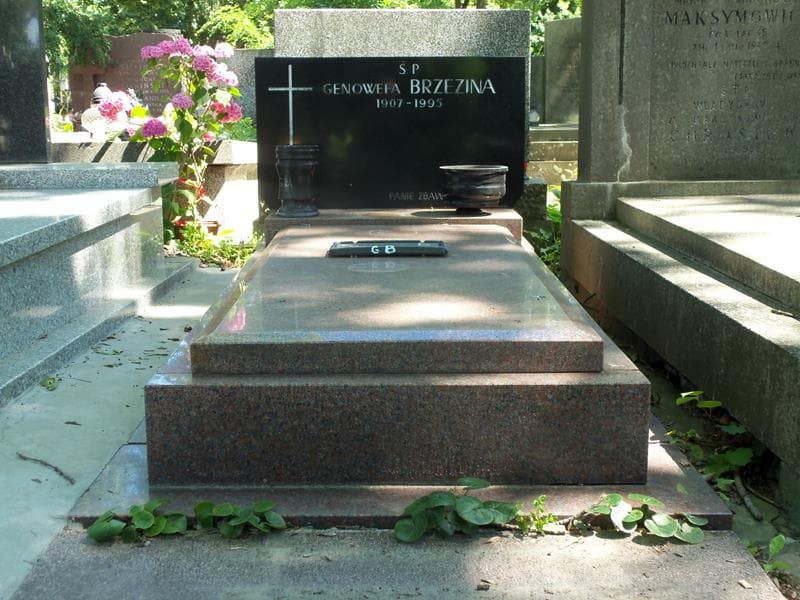 Zdjęcie grobu: Genowefa Brzezina