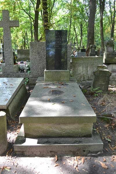 Zdjęcie grobu Zdzisław Karol Dobrowolski (1)