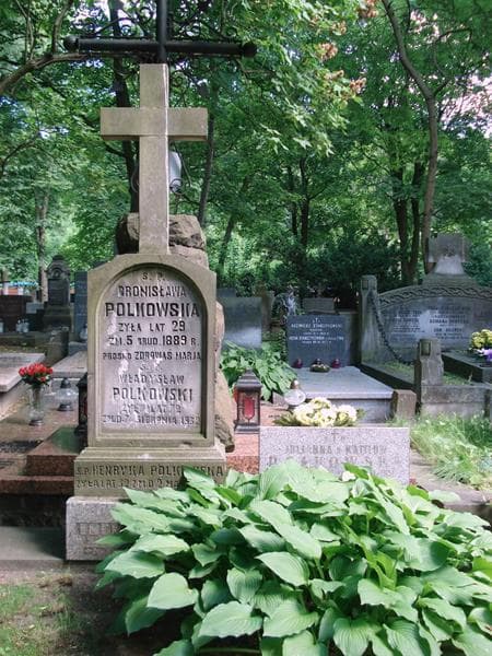 Zdjęcie grobu Henryka Polkowska (2)