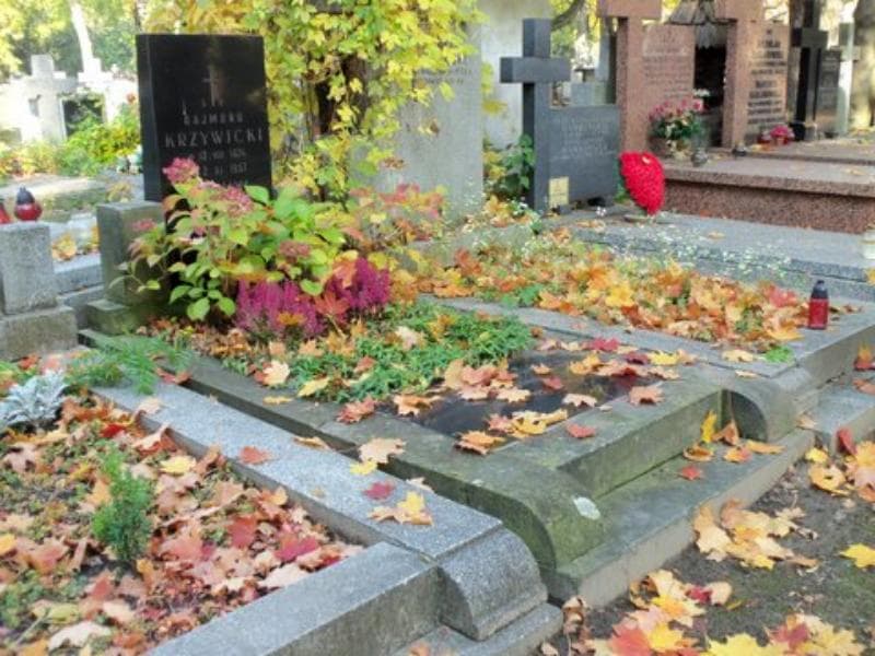 Zdjęcie grobu Zdzisław Krzywicki (1)