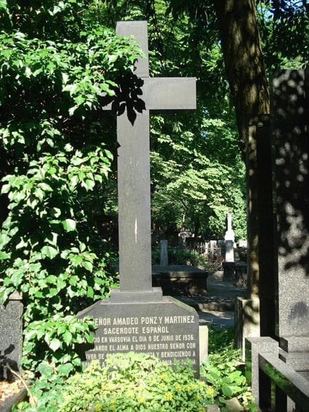 Zdjęcie grobu Amadeo Ponz Y Martinez (2)