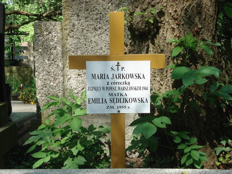 Zdjęcie grobu Emilia Sędlikowska (2)