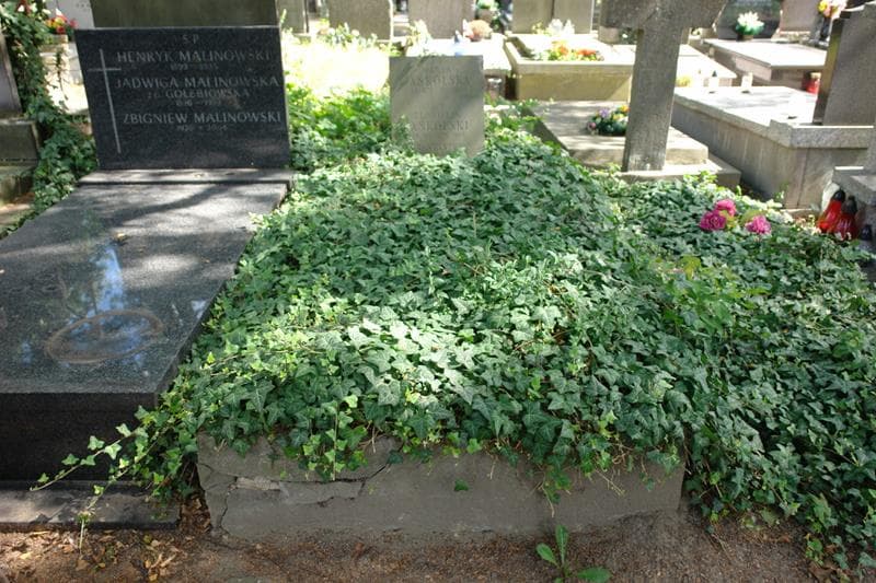Zdjęcie grobu Maria Jaskólska (1)