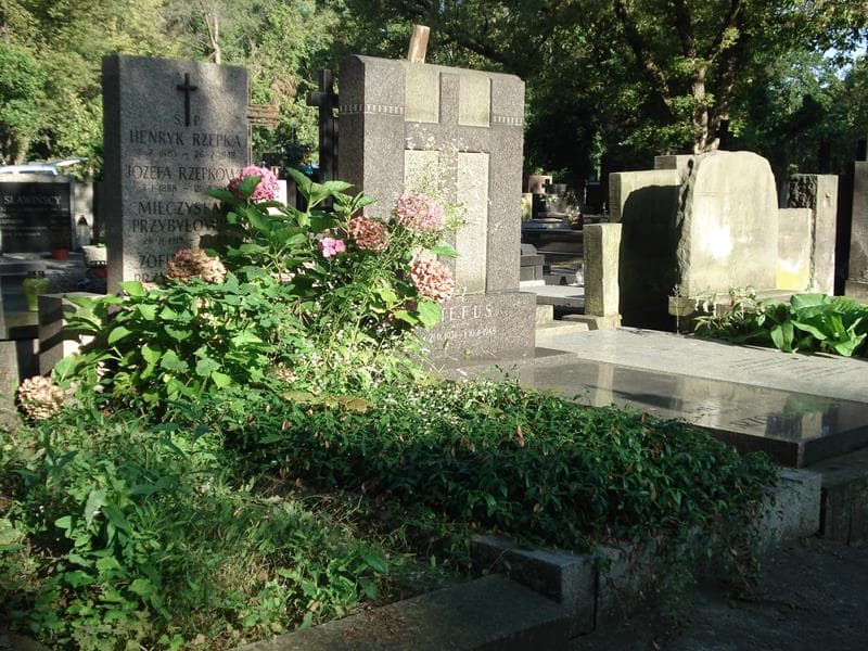 Zdjęcie grobu Józefa Rzepkowa (1)