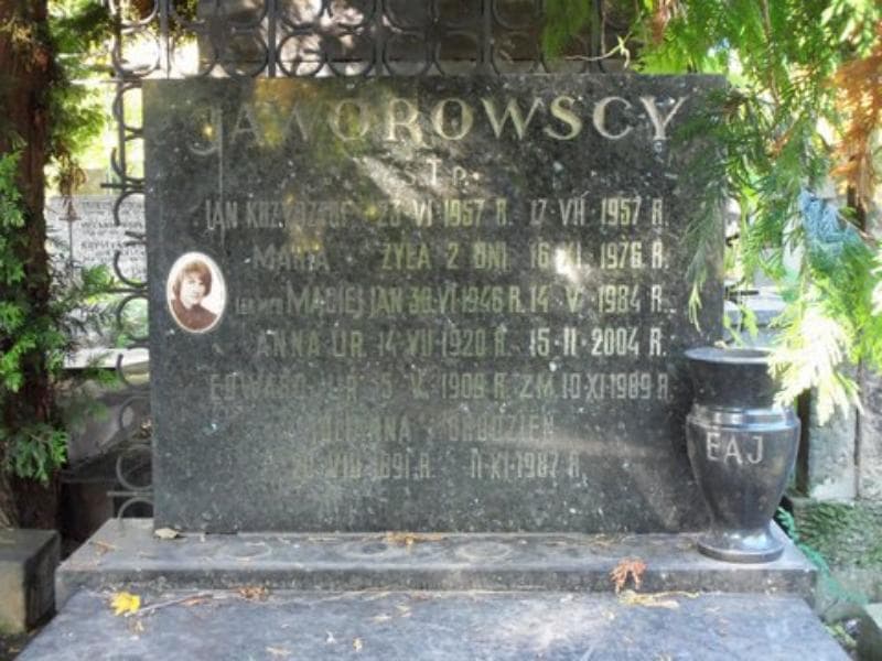 Zdjęcie grobu Edward Jaworowski (2)