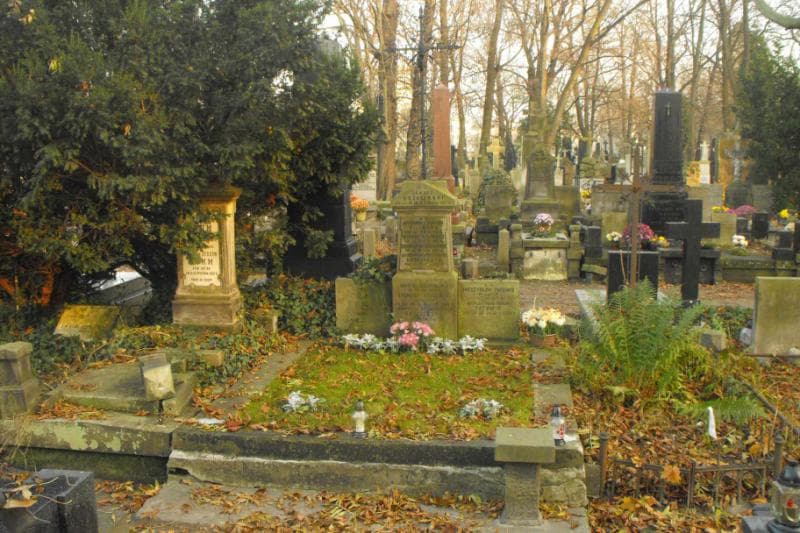 Zdjęcie grobu: Mieczysław Tatomir