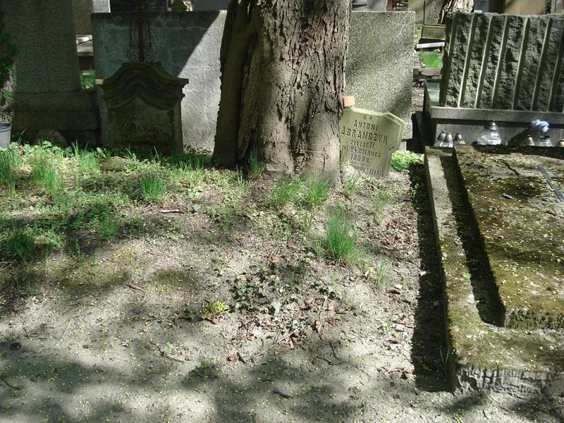 Zdjęcie grobu: Antoni Abramczyk