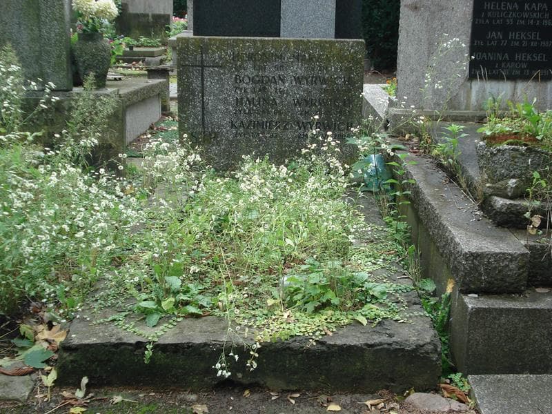 Zdjęcie grobu: Bogdan Wyrwich