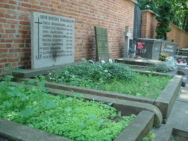 Zdjęcie grobu Anna Jagodzińska (1)