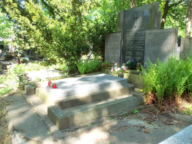 Zdjęcie grobu Stefan Mieszkowski (1)