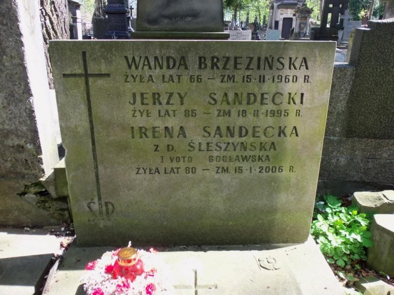 Zdjęcie grobu Hipolit Brzezinski (2)