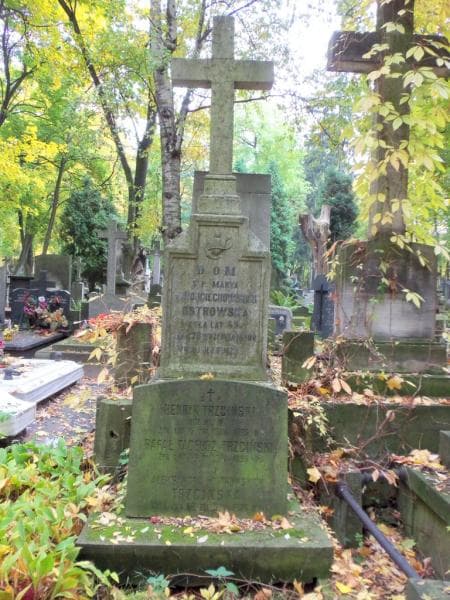 Zdjęcie grobu Henryk Trzciński (2)