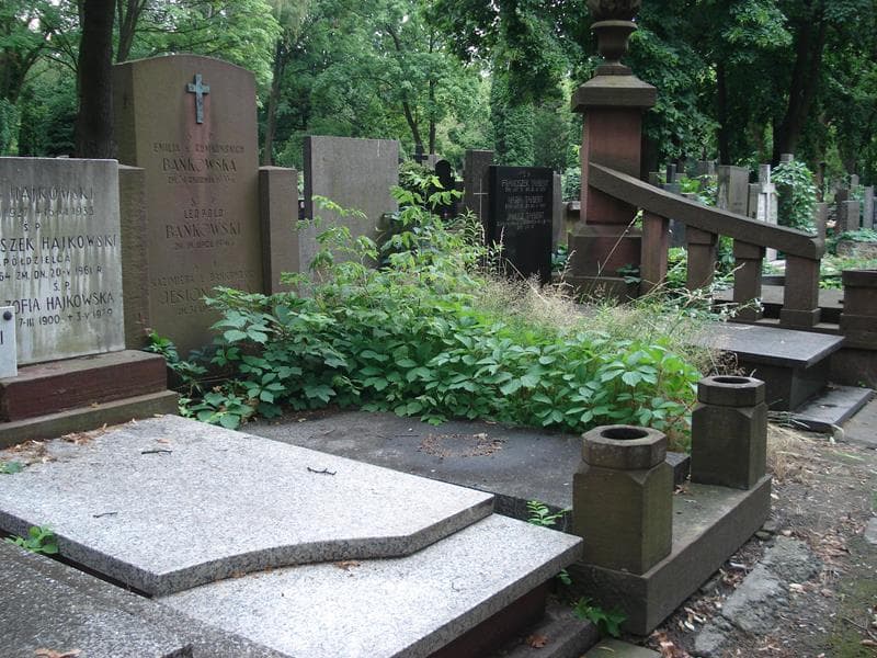 Zdjęcie grobu: Leopold Bańkowski
