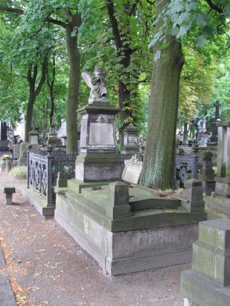 Zdjęcie grobu Paulina Omenceter (1)