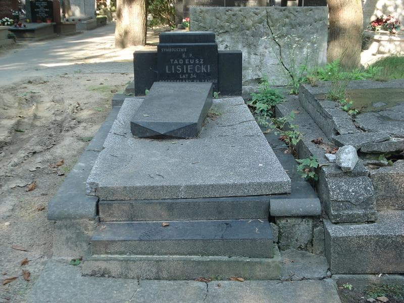 Zdjęcie grobu: Tadeusz Lisiecki