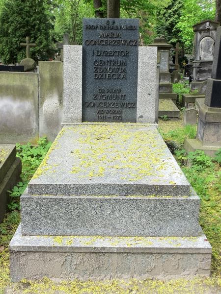 Zdjęcie grobu: Zygmunt Goncerzewicz