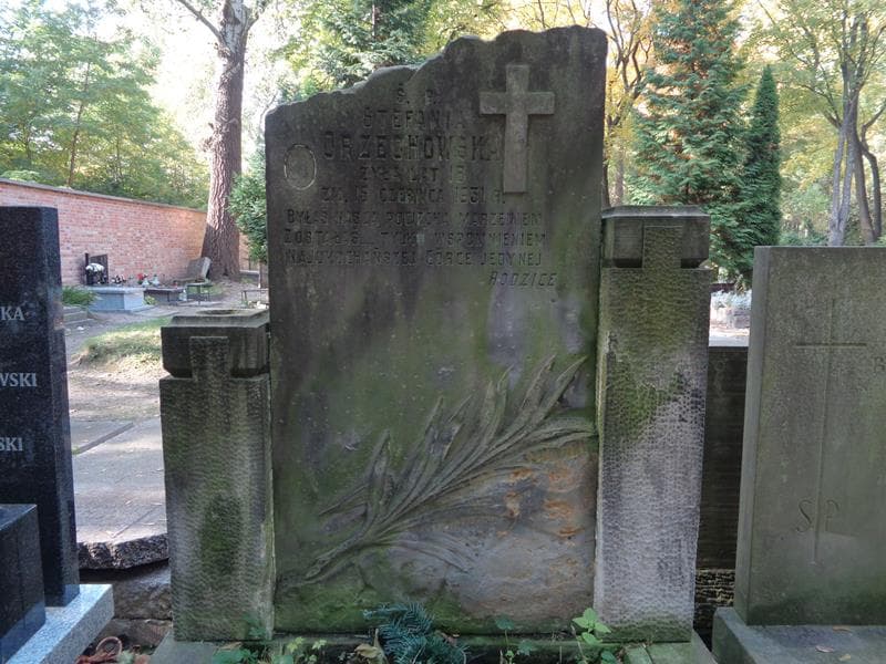 Zdjęcie grobu Stefania Orzechowska (1)