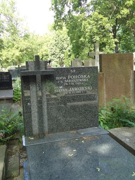 Zdjęcie grobu Zofia Pohoska (2)