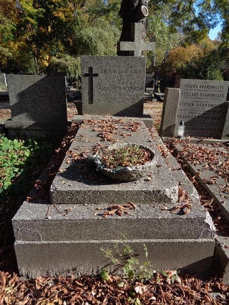 Zdjęcie grobu Augustyn Stypiński (1)