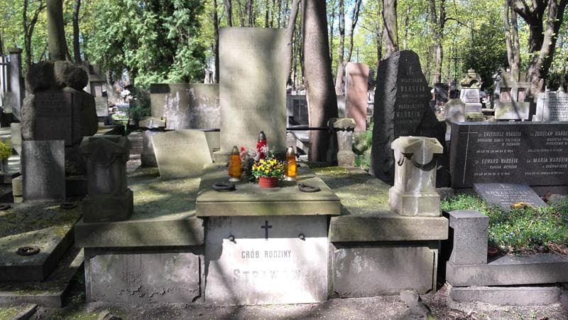 Zdjęcie grobu: Julian Strawa