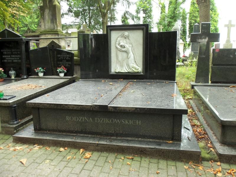 Zdjęcie grobu: Dzikowscy
