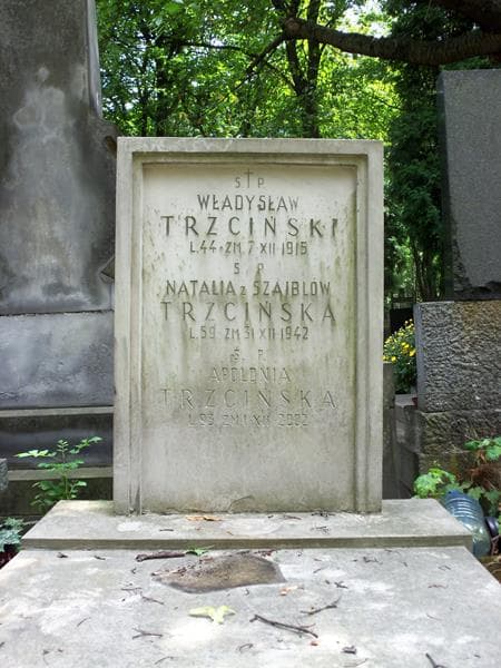 Zdjęcie grobu Władysław Trzciński (2)