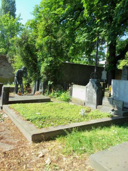 Zdjęcie grobu Franciszek Tchórzewski (1)