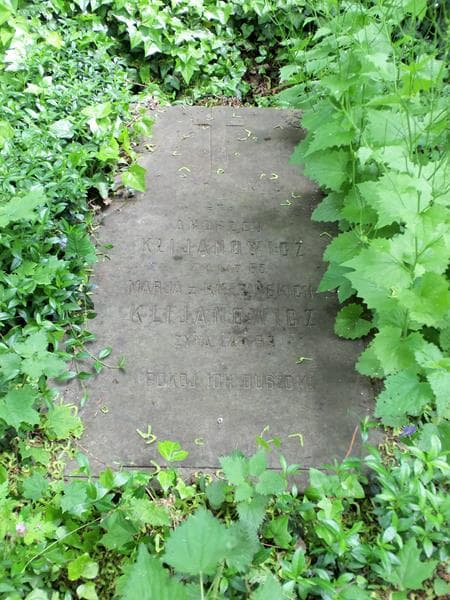 Zdjęcie grobu Marja Klijanowicz (2)
