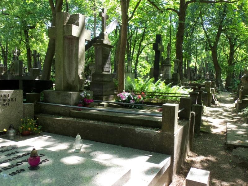 Zdjęcie grobu Aleksandra Magrzykowa (1)