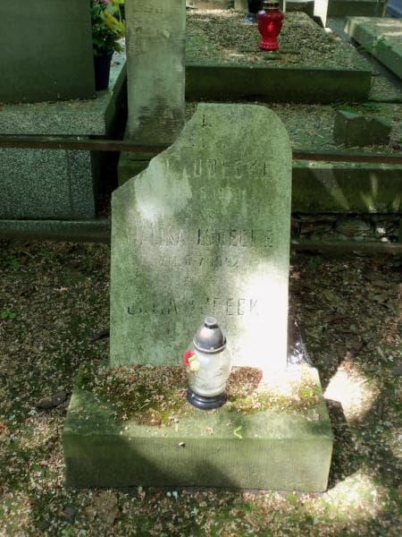 Zdjęcie grobu Walkiewiczowie (2)