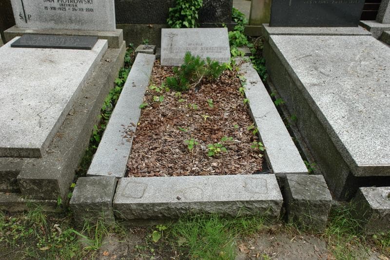 Zdjęcie grobu Maria Straszewicz (1)