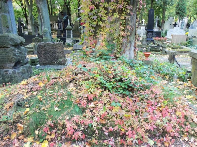 Zdjęcie grobu: Pole Grobowe