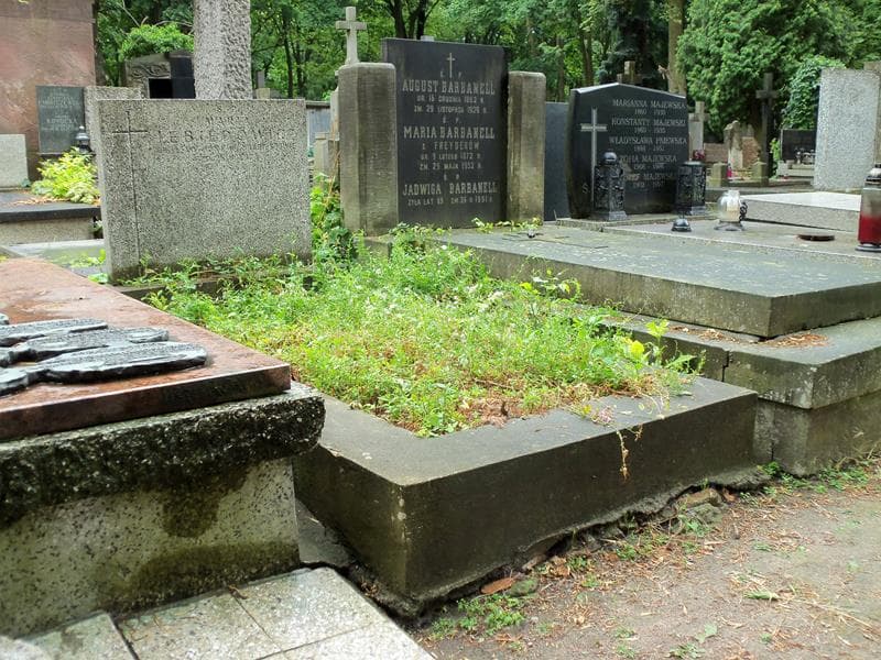 Zdjęcie grobu Maria Lebiedowicz (1)