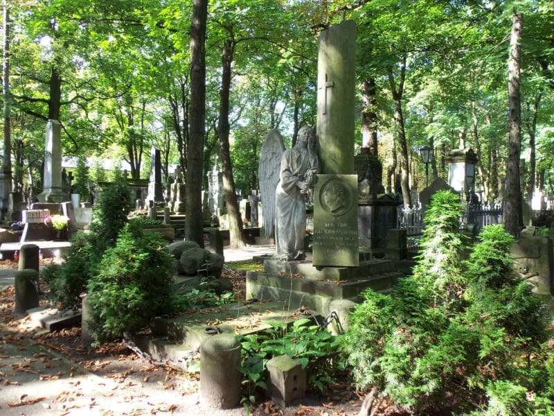 Zdjęcie grobu Aloizy Gonzaga Żółkowski (1)