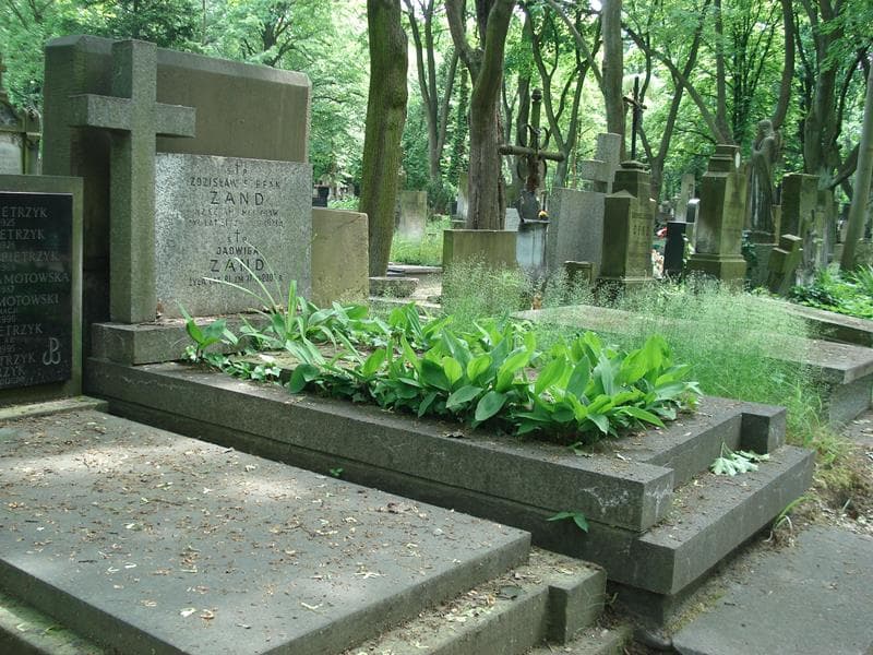 Zdjęcie grobu Helena Elżbieta Błeszyńska (1)