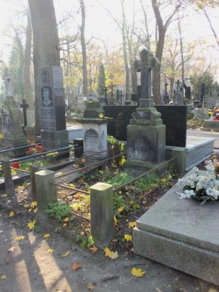Zdjęcie grobu Bronisława Przedworska (1)