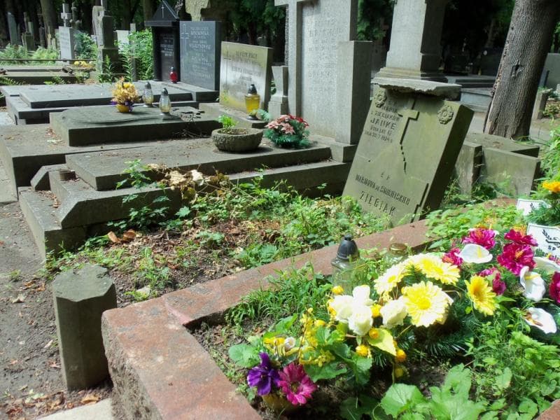 Zdjęcie grobu Maria Janke (1)