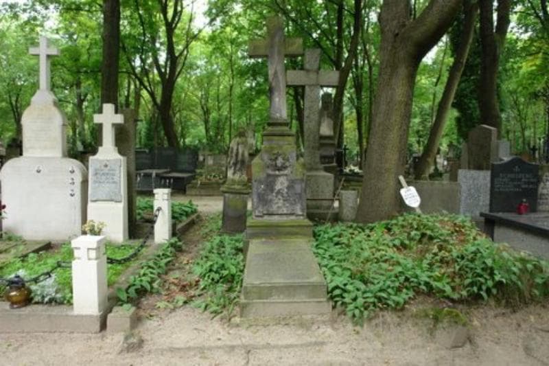 Zdjęcie grobu: Zofia Izdebska