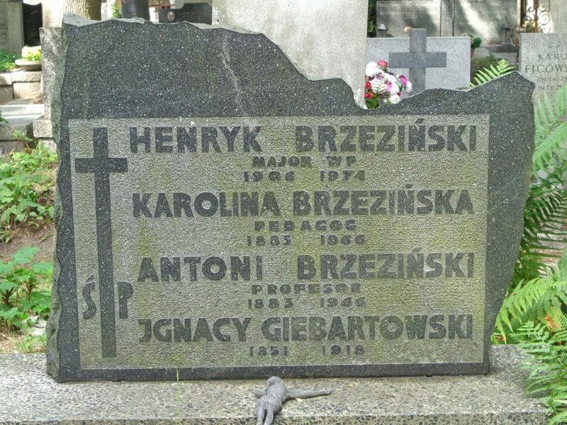 Zdjęcie grobu Henryk Brzeziński (2)