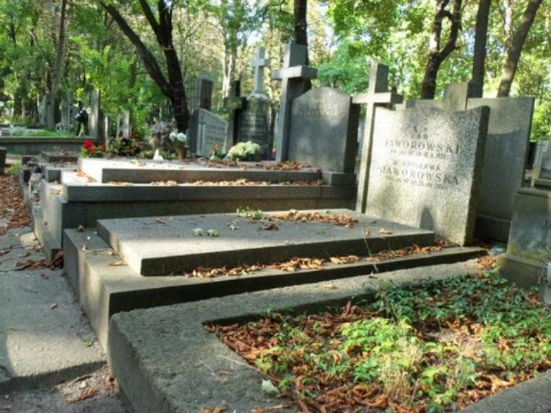 Zdjęcie grobu Władysława Jaworowska (1)