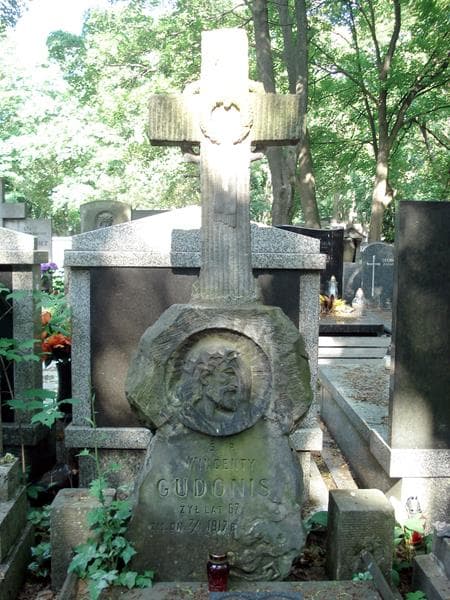 Zdjęcie grobu Wincenty Gudonis (1)