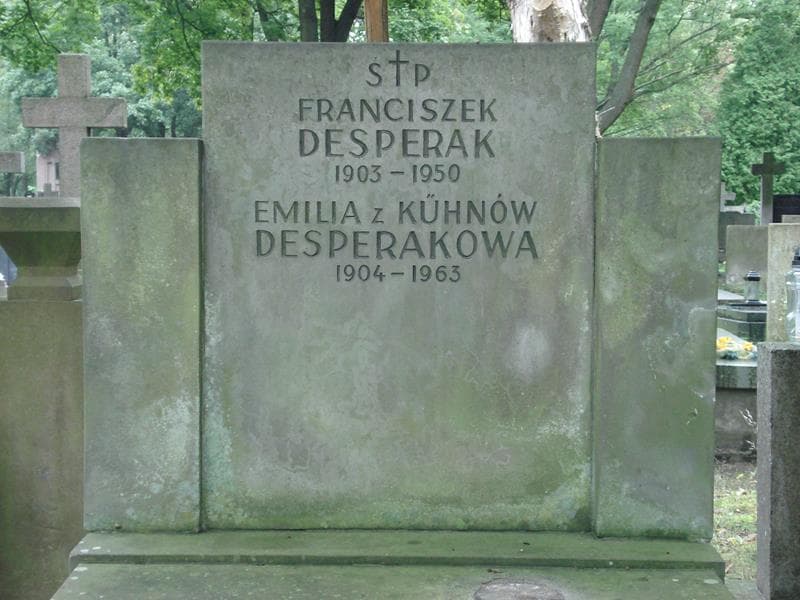Zdjęcie grobu Franciszek Desperak (2)