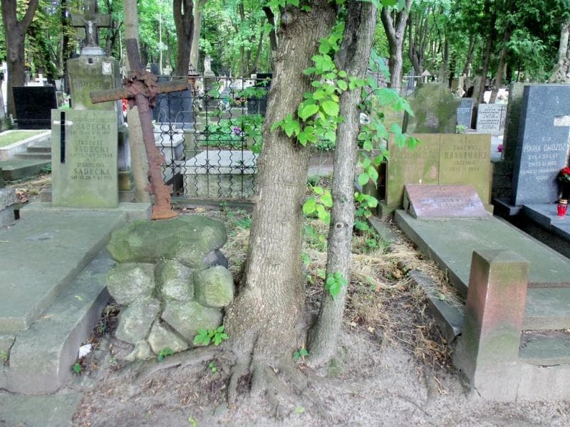 Zdjęcie grobu Wincenty Krajewski (1)