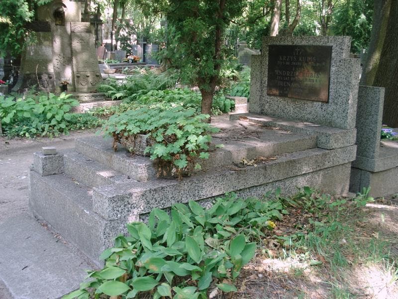 Zdjęcie grobu: Andrzej Kubis