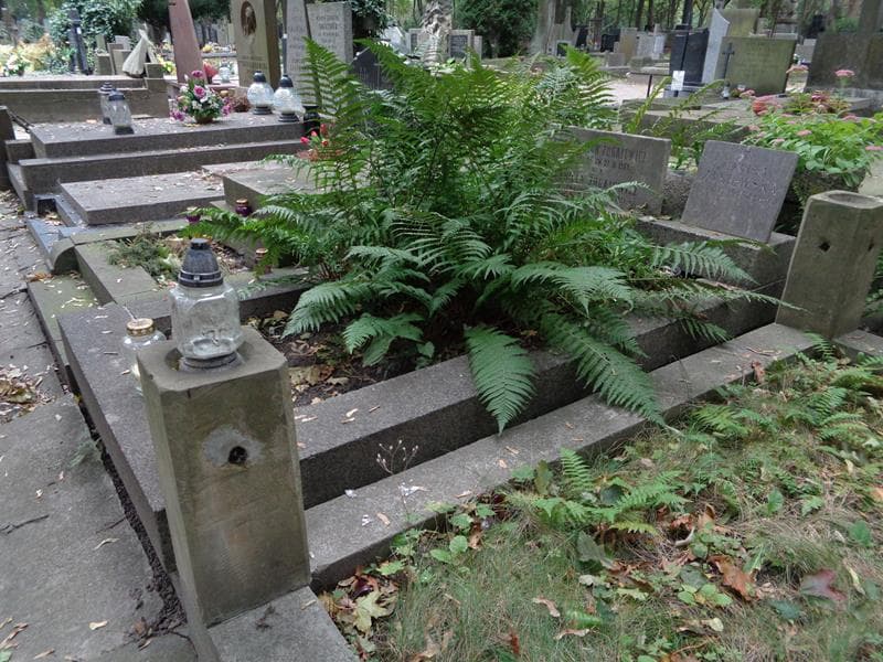 Zdjęcie grobu: Mieczysław Żugajewicz