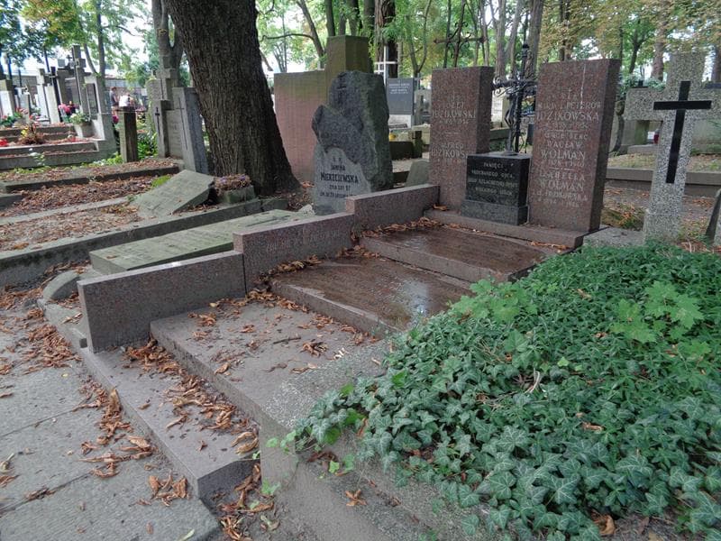 Zdjęcie grobu: Alfred Idzikowski