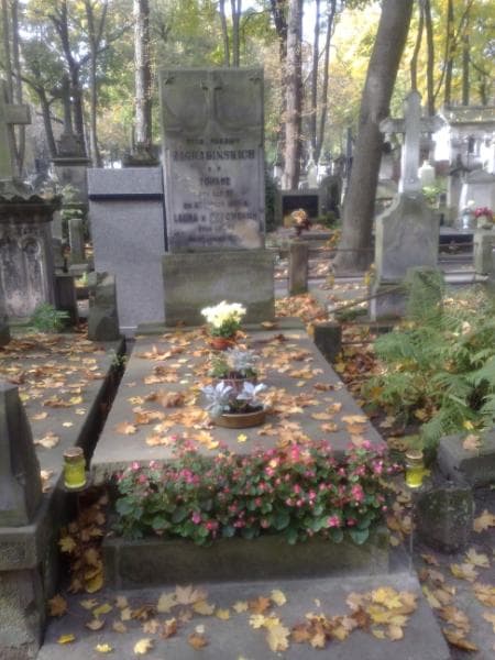 Zdjęcie grobu: Janina Martyńska
