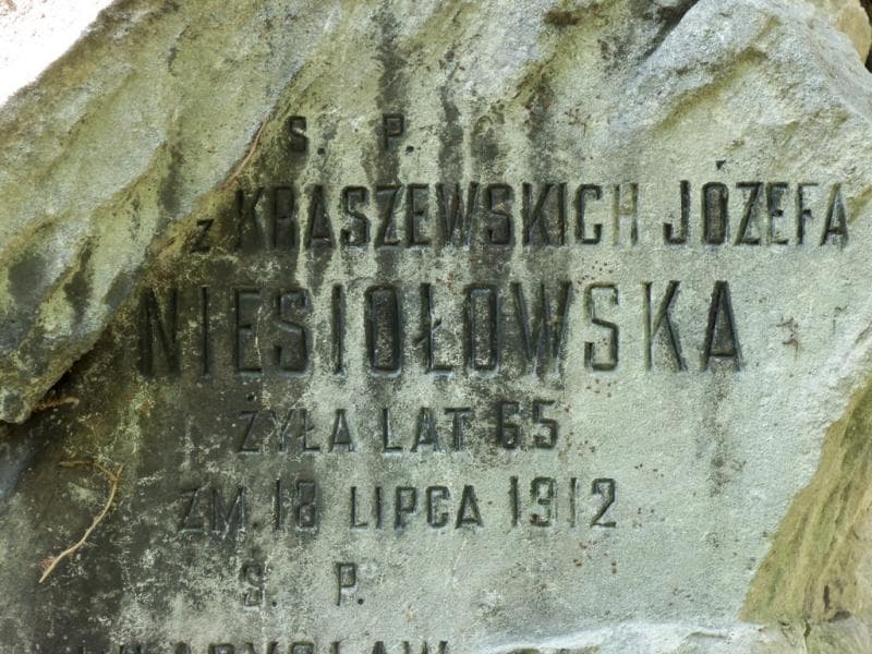Zdjęcie grobu Władysław Niesiołowski (2)